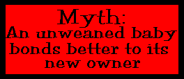 animated banner stating buy weaned birds