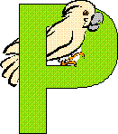 P is for Parrot